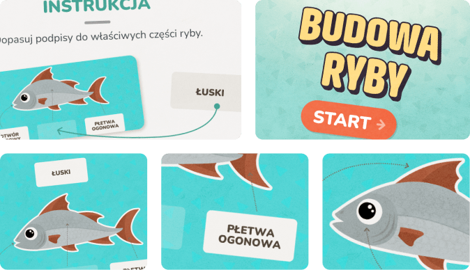 Gra dla dzieci online, która uczy budowy ryby