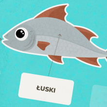 Gra dla dzieci online, która uczy budowy ryby
