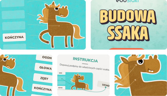 Edukacyjna gra dla dzieci, która uczy jak zbudowane są ssaki