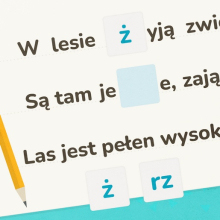 Gra dla dzieci online, w której należy prawidłowo uzupełnić dyktando