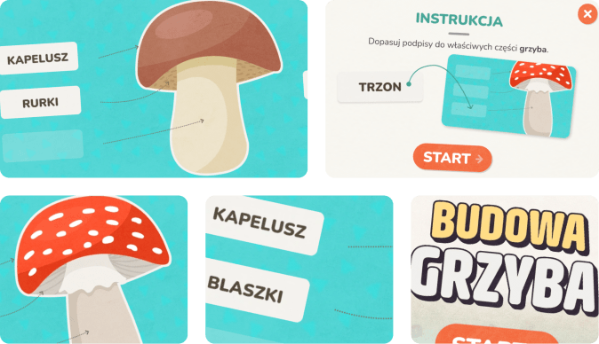 Edukacyjna gra dla dzieci, która uczy budowy grzyba