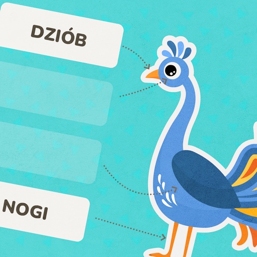 Edukacyjna gra dla dzieci, która uczy budowy ptaka