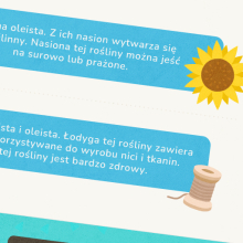 Gra edukacyjna dla dzieci - rośliny zbożowe, oleiste i włókniste
