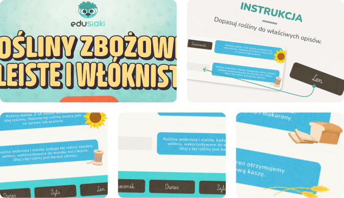 Gra edukacyjna dla dzieci - rośliny zbożowe, oleiste i włókniste